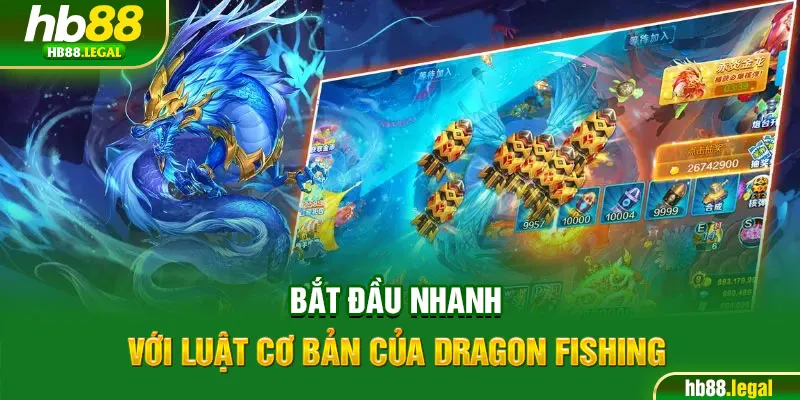 Bắt đầu nhanh với luật cơ bản của Dragon Fishing