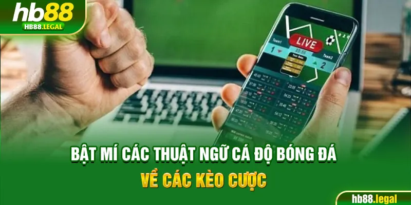 Bật mí các thuật ngữ cá độ bóng đá về các kèo cược