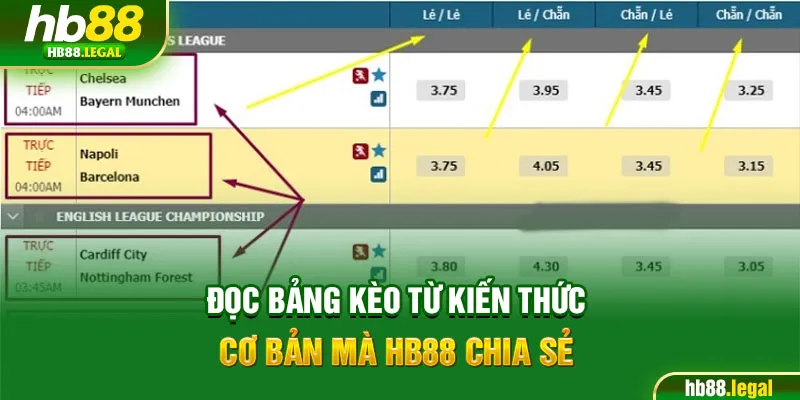 Đọc bảng kèo từ kiến thức cơ bản mà HB88 chia sẻ