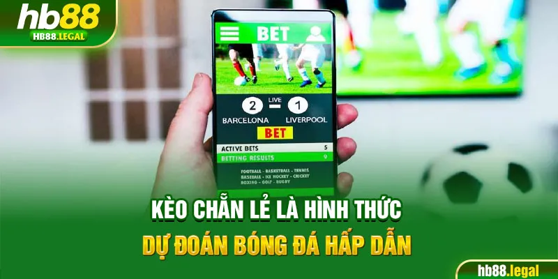 Kèo chẵn lẻ là hình thức dự đoán bóng đá hấp dẫn