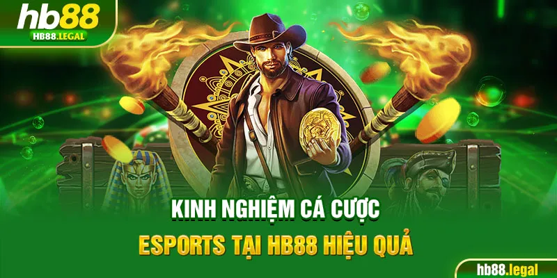 Kinh nghiệm cá cược Esports tại HB88 hiệu quả