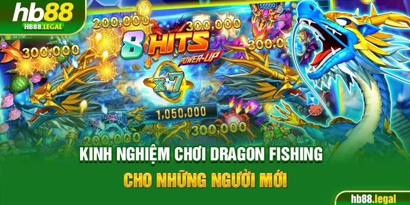 Kinh nghiệm chơi Dragon Fishing cho những người mới