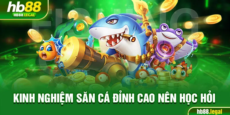 Kinh nghiệm săn cá đỉnh cao nên học hỏi