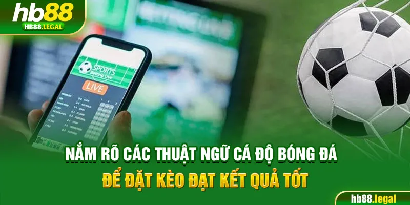 Nắm rõ các thuật ngữ cá độ bóng đá để đặt kèo đạt kết quả tốt