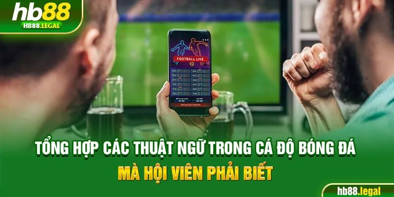 Tổng hợp các thuật ngữ trong cá độ bóng đá mà hội viên phải biết